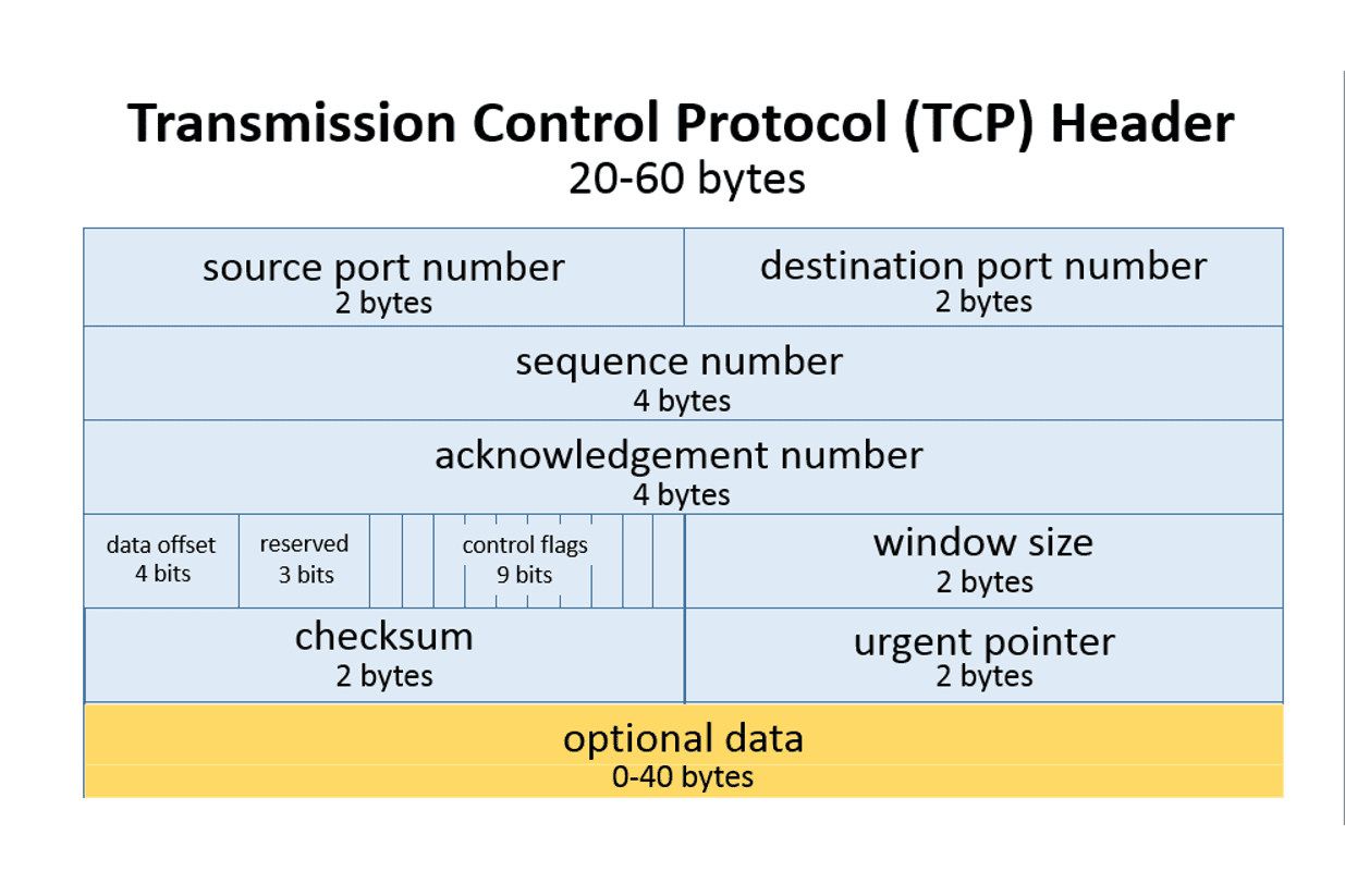 TCP Header